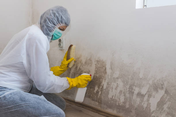 Best Crawl Space Mold Remediation  in Lake Hiawatha, NJ