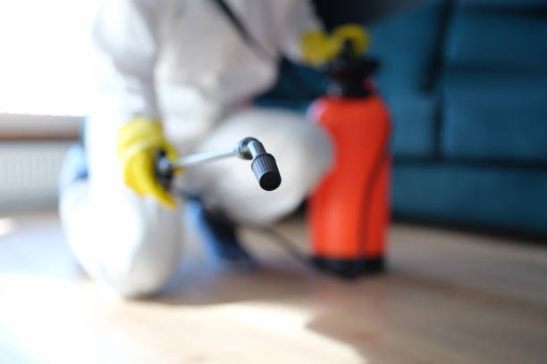 Best Indoor Air Quality Assessment  in Lake Hiawatha, NJ