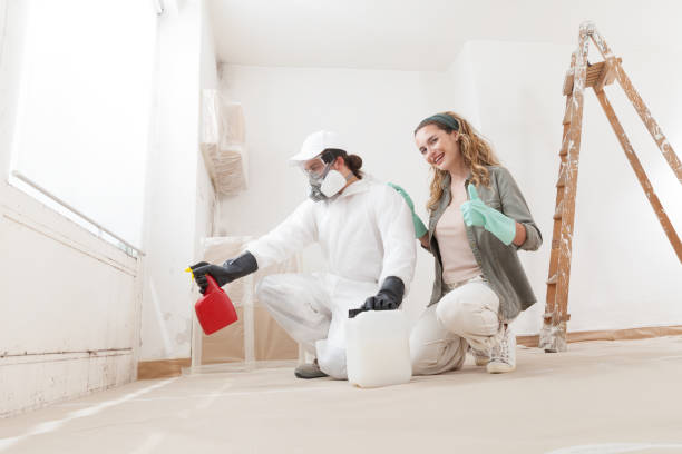  Lake Hiawatha, NJ Mold Removal Pros