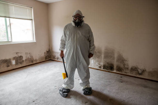 Best Post-Construction Mold Inspection  in Lake Hiawatha, NJ